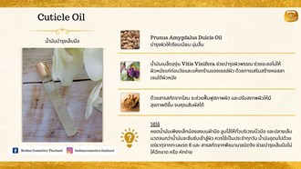 Kdm - Marketing & Advertisement - Brochure - Cuticle Oil - 1Pack 500Pcs.